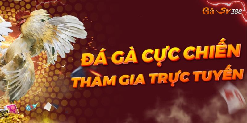 Gioi thieu tac gia Hoang Loc Gasv388 va muc tieu phat trien