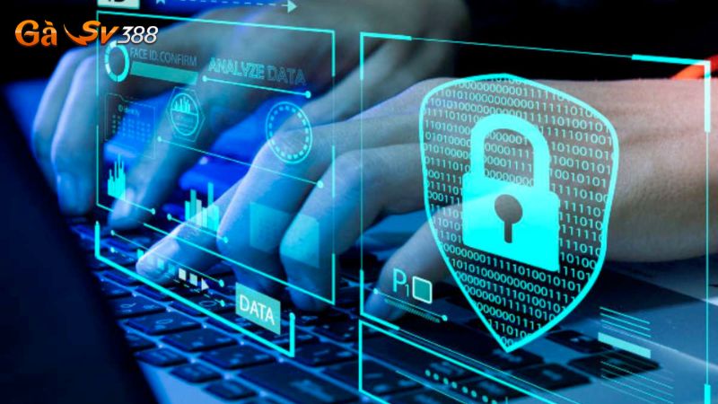 Chính sách bảo mật GASV388 3 bao mat tai khoan ngan hang nguoi choi