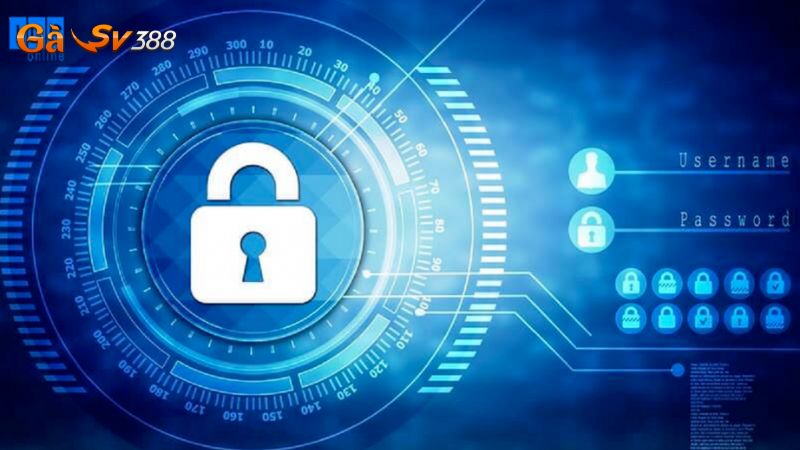 Chính sách bảo mật GASV388 2 cac hinh thuc bao mat gasv388 noi tieng