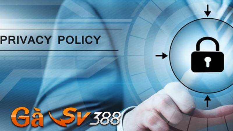 Điều Khoản & Điều Kiện GASV388 2 dieu khoan dieu kien gasv388 quyen rieng tu