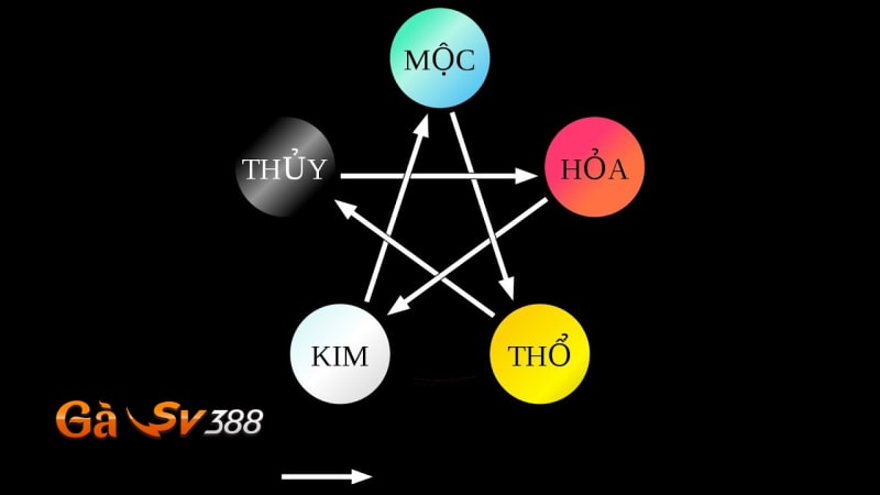 Gà điều chân trắng: Đặc điểm nhận biết và cách chăm sóc 2 ga dieu chan trang xem mau mang