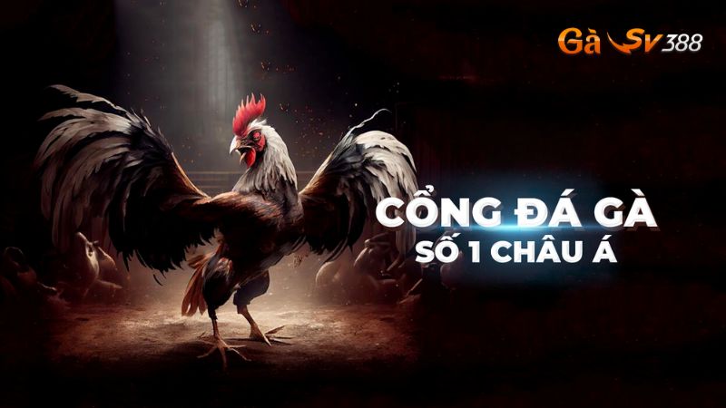 gioi thieu gasv388 nhung diem uu viet