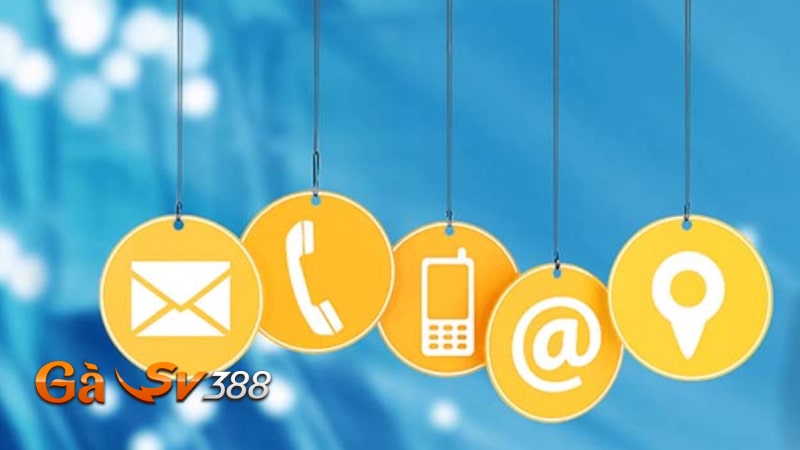 Liên hệ GASV388 1 lien he GASV388 uu diem