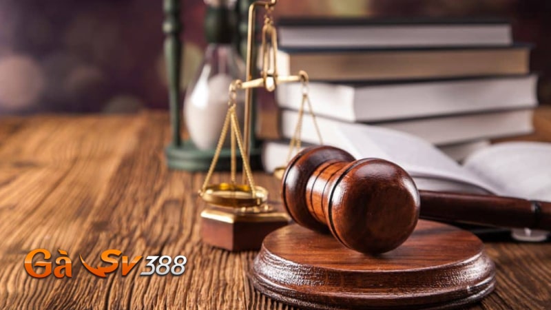 Miễn trừ trách nhiệm GASV388 2 mien tru trach nhiem GASV388 quyen trach nhiem