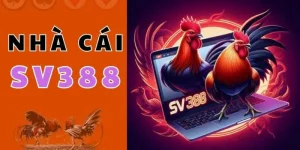 Lý do nên chọn Sv388 sau khi đăng ký